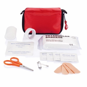 An image of Corporate First Aid Set In Pouch - Sample