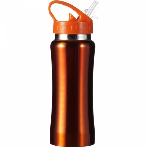 An image of Advertising Shapely Stainless Steel Drinking Bottle 600ml