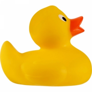 An image of Branded PVC rubber duck