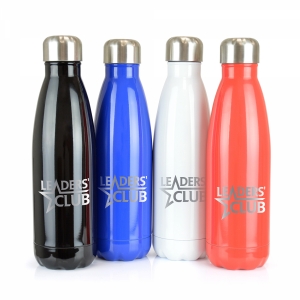 An image of Ashford Shine Insulated Steel Drinks Bottle 500ml