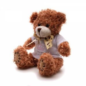 An image of Medium Patched Paw Teddy