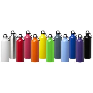 An image of Oregon 750 Ml Recycled Steel Water Bottle With Carabiner