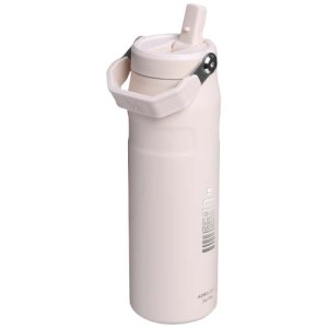 An image of Stanley IceFlow 2.0 700 Ml Eco Water Bottle With Flip Straw