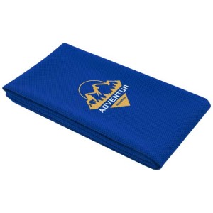 An image of Althea Sport Towel 50x100 Cm