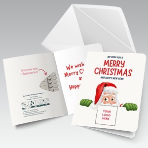An image of Christmas Seedsticks Greeting Cards