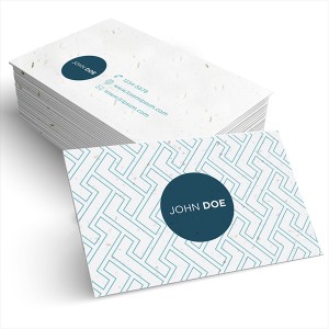 An image of Seeded Paper Business Cards (2PP)