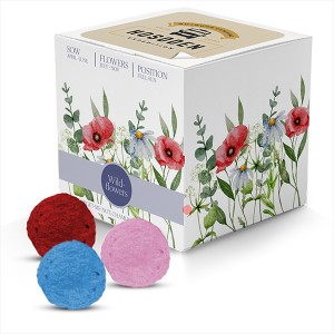 An image of Express Rainball Seed Cubes